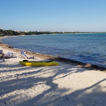 Chamicos - Seafood Near Me - Tulum, ROO