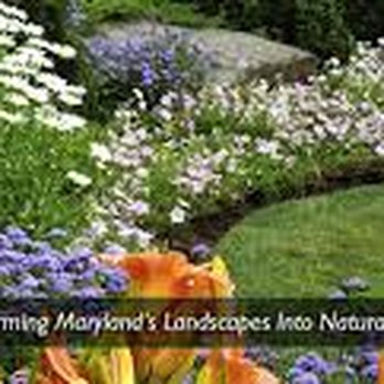 Silver Spring Landscaping - Gardeners Near Me - Silver Spring, Maryland Silver Spring Landscaping - Gardeners Near Me - Silver Spring, Maryland