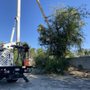 Andre Landscape Service