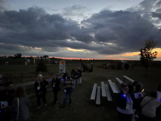 Bloomsbury Farm by null