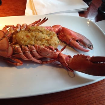 Red Lobster - Live Maine lobster with seafood stuffing - Seafood Near Me - Aurora, Illinois Red Lobster - Live Maine lobster with seafood stuffing - Seafood Near Me - Aurora, Illinois