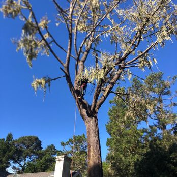 Green Life Tree Service - Landscaping Near Me Green Life Tree Service - Landscaping Near Me