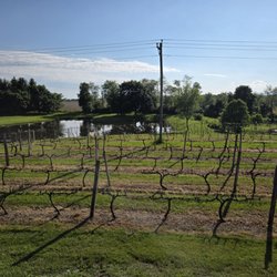 The Winery at the Long Shot Farm