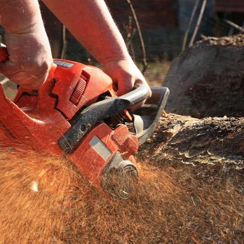 PCR Tree Service - Tree Services Near Me - East Ridge, Tennessee PCR Tree Service - Tree Services Near Me - East Ridge, Tennessee