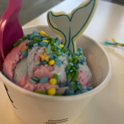 Dolphin scoop