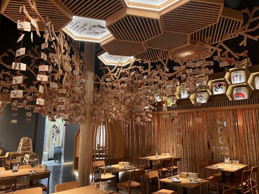 Kyuramen x TBaar - Tigard by null