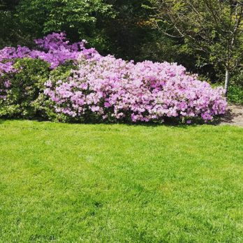 Washington Park Arboretum - Parks Near Me - Seattle, Washington Washington Park Arboretum - Parks Near Me - Seattle, Washington