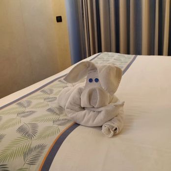 Carnival Conquest - Travel Services Near Me Carnival Conquest - Travel Services Near Me