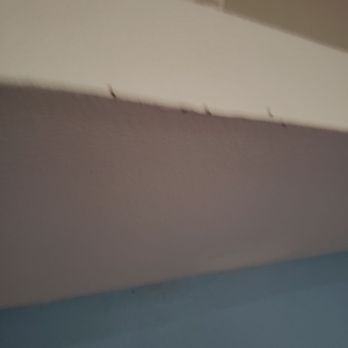 Arlington Motel - Gnats infested room - Hotels Near Me - Long Beach, California Arlington Motel - Gnats infested room - Hotels Near Me - Long Beach, California