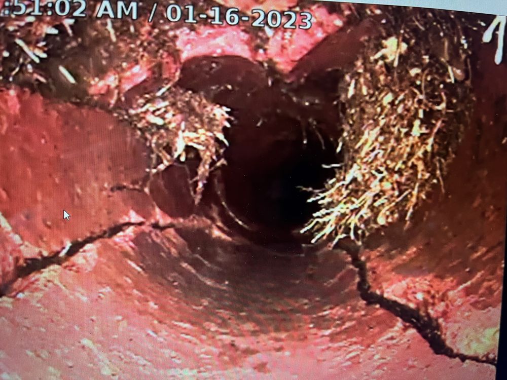 Slide of Jake The Snake Drain Cleaning