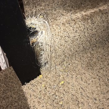 Baltimore Carpet Repair - Carpet Installation Near Me