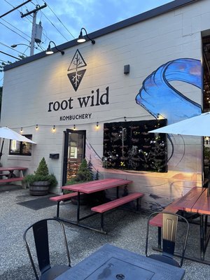 Root Wild Kombucha by null