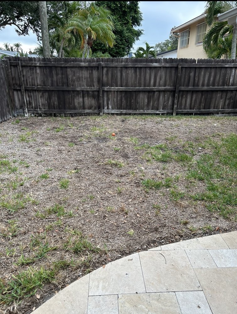 EXECUTIVE TURF MANAGEMENT Updated October 2024 6553 46th St N