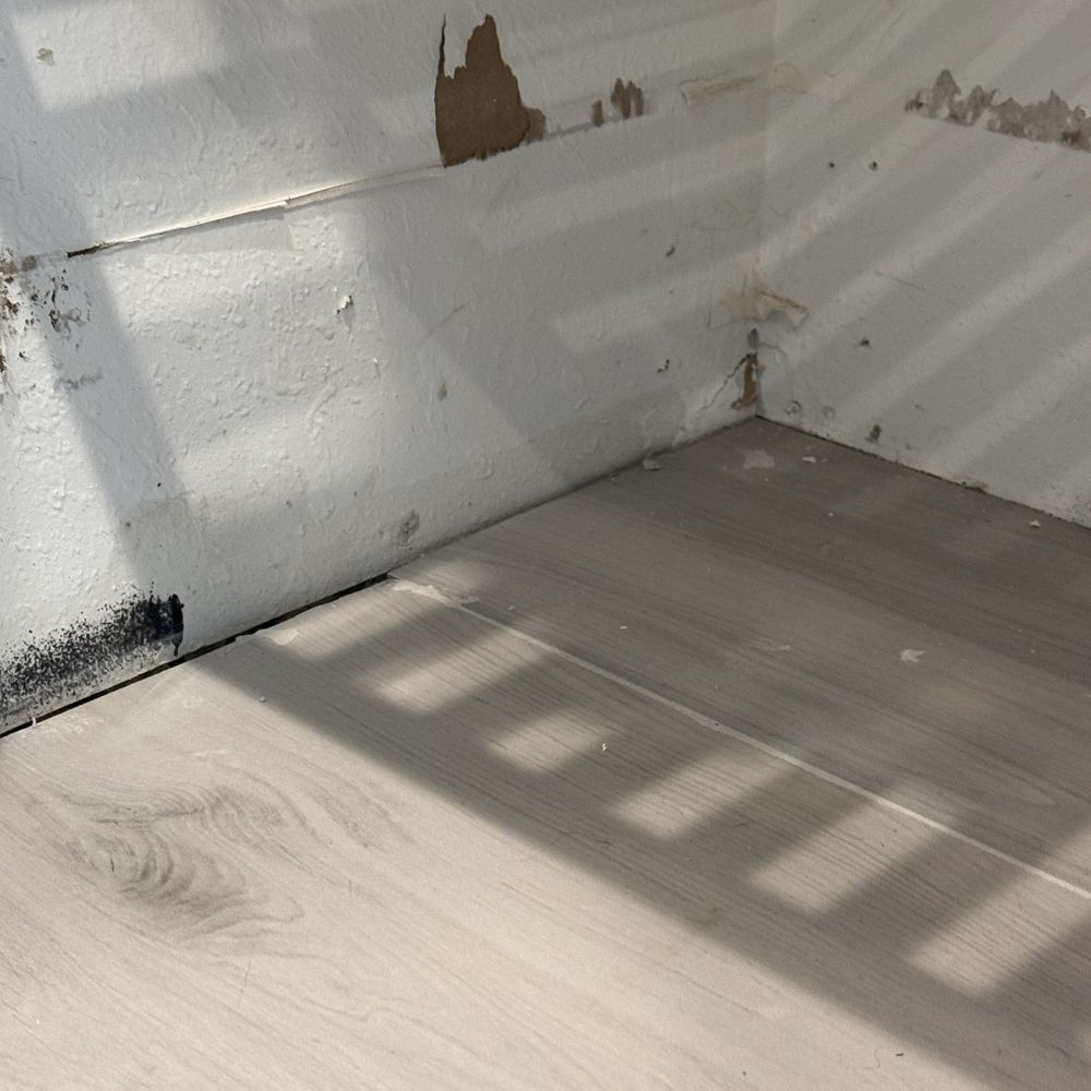 Barcelos Flooring - Unfinished work - Flooring Near Me Barcelos Flooring - Unfinished work - Flooring Near Me