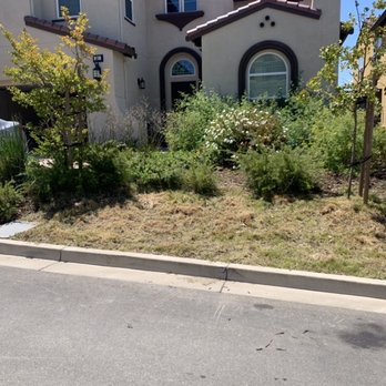 Angel's Landscaping - Landscaping Near Me