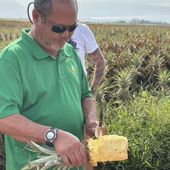 Maui Pineapple Tour - Tours Near Me - Makawao, Hawaii