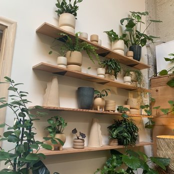 Arcana - plants available for purchase - Nurseries & Gardening Near Me - San Francisco, California Arcana - plants available for purchase - Nurseries & Gardening Near Me - San Francisco, California
