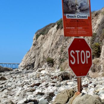 Carpinteria Seal Sanctuary - Parks Near Me - Carpinteria, California Carpinteria Seal Sanctuary - Parks Near Me - Carpinteria, California