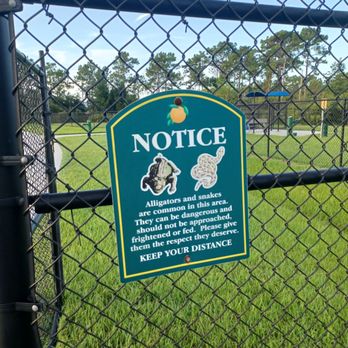 Young Pine Community Park - Dog Parks Near Me - Orlando, Florida Young Pine Community Park - Dog Parks Near Me - Orlando, Florida
