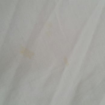 Gulf View Waterfront Resort - owner said these were just rust marks on the sheets like it was nothing,GROSS - Hotels Near Me - Marathon, Florida Gulf View Waterfront Resort - owner said these were just rust marks on the sheets like it was nothing,GROSS - Hotels Near Me - Marathon, Florida