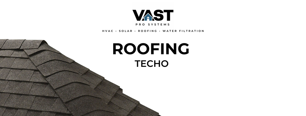 Slide of Vast Pro Systems