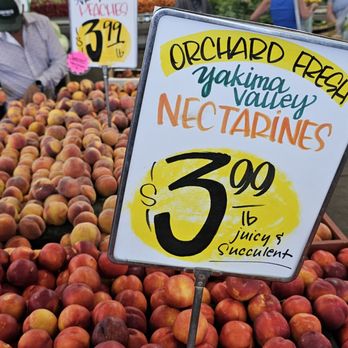 Carpinito Brothers - Locally grown Produce - Nurseries & Gardening Near Me - Kent, Washington