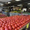 Frank's Produce & Greenhouses gift card