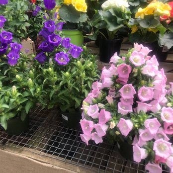 City Floral - Nurseries & Gardening Near Me - Denver, Colorado City Floral - Nurseries & Gardening Near Me - Denver, Colorado