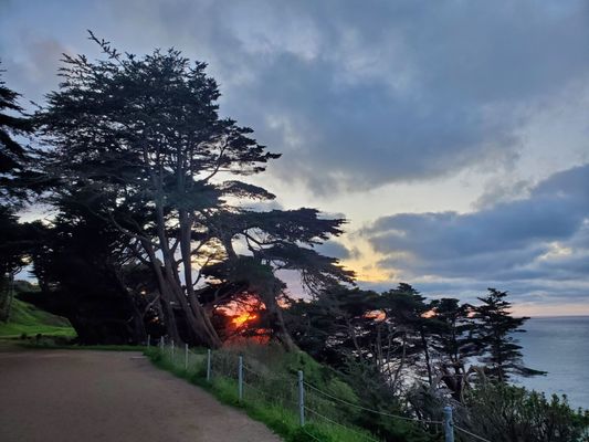 Lands End Trail by null