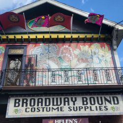 Broadway Bound Costume - View from Canal St.