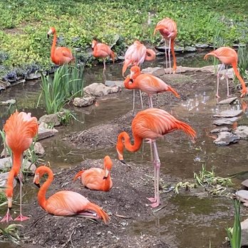 Philadelphia Zoo - Zoos Near Me - Philadelphia, Pennsylvania