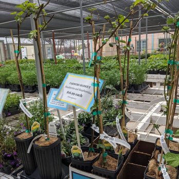 Sierra Vista Growers - Nurseries & Gardening Near Me - Anthony, New Mexico