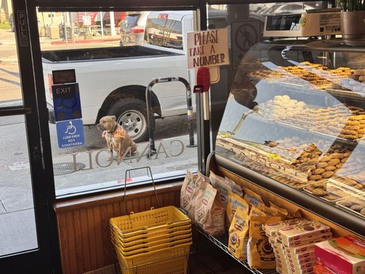 Eagle Rock Italian Bakery & Deli by null