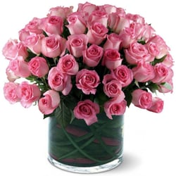 House of Stemms - Premium Ecuadorian Pink Roses, Select 25, 50 or 100 pink roses and we will deliver your order in style. www.DeluxeFlorist.com