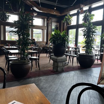 Black Walnut - Inside - New American Near Me - Houston, Texas