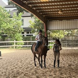 Magic Moments Stables - First Lesson