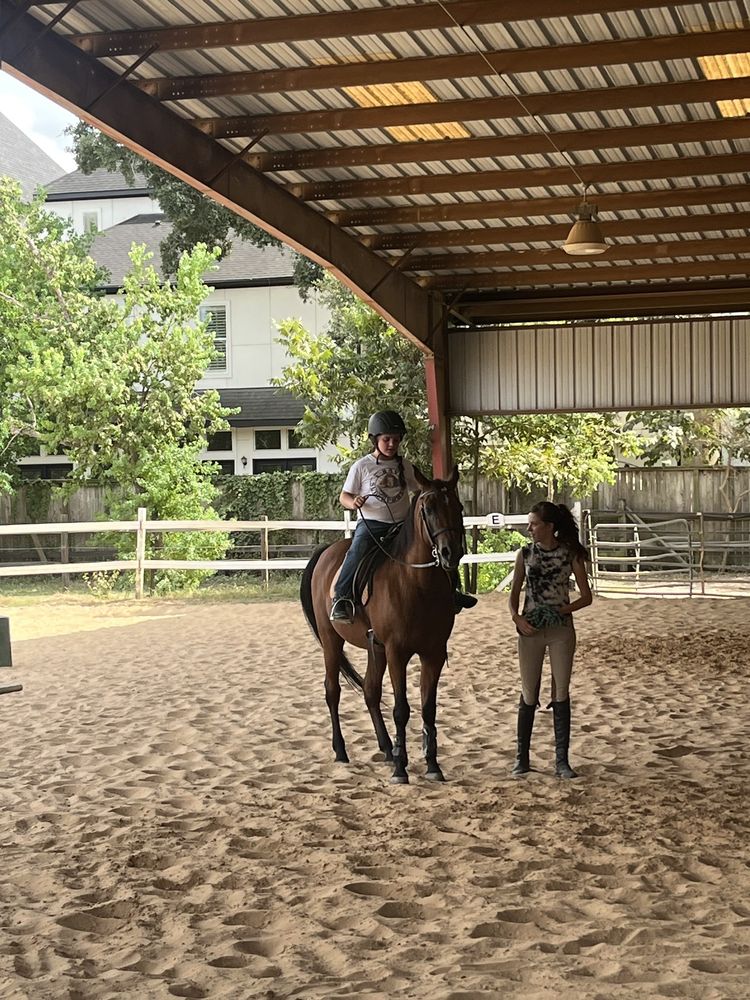 Magic Moments Stables Logo