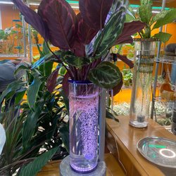 Plant Daddy Pro