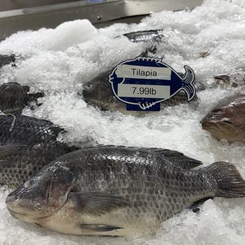 Quality Seafood - Seafood Markets Near Me - Redondo Beach, California Quality Seafood - Seafood Markets Near Me - Redondo Beach, California