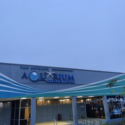 Front Front