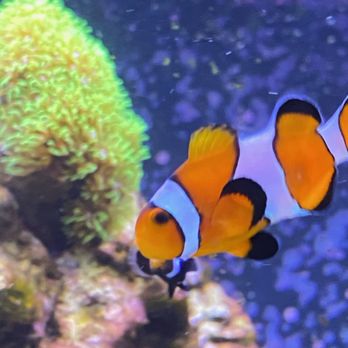 Coastal Creature Care - Pet Boarding Near Me - Ocean View, New Jersey
