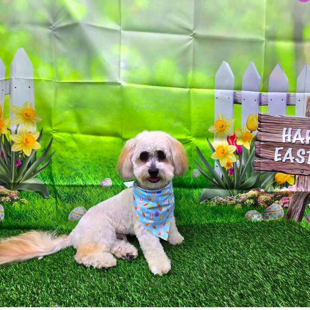 The PetHouse - Our guy - Pet Stores Near Me - Baywood-Los Osos, California The PetHouse - Our guy - Pet Stores Near Me - Baywood-Los Osos, California