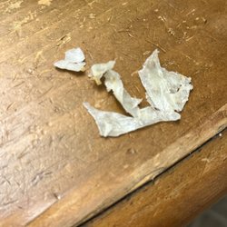 KFC - Well paper and coleslaw doesn't taste too good nor does it digest so I think I need my money back