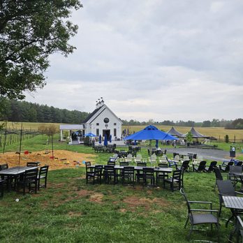Bleu Frog Vineyards - Wine Tasting Room Near Me - Leesburg, Virginia