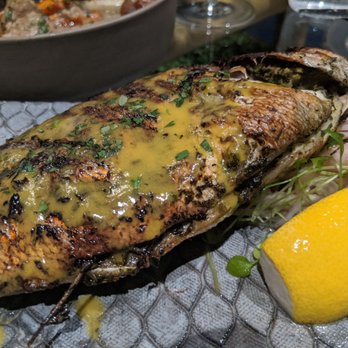 Krasi - Tsipoura - Mediterranean Near Me - Boston, Massachusetts