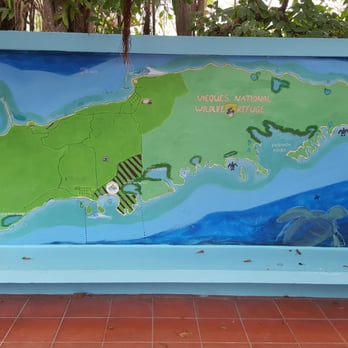 The Vieques Conservation & Historical Trust - Community Service/Non-Profit Near Me - Vieques, Puerto Rico