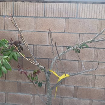 Viet Garden - Nurseries & Gardening Near Me - Whittier, California