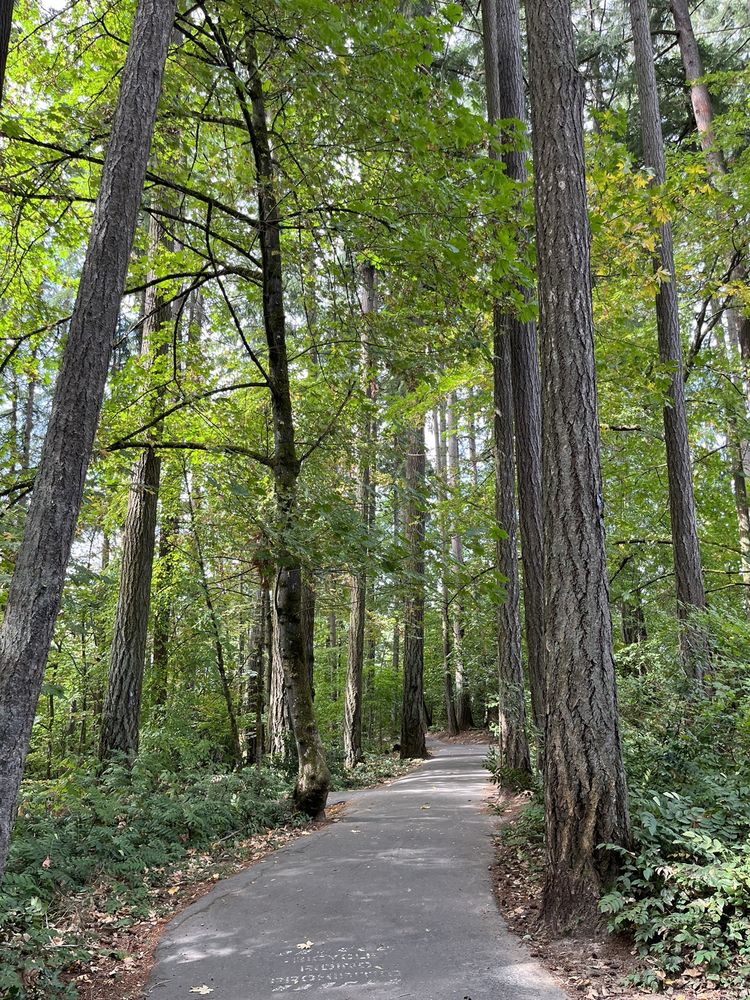 NOBLE WOODS PARK Updated August 2024 93 Photos & 34 Reviews 23480