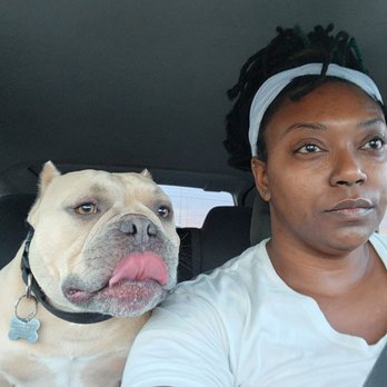 TelsTails Petsitting - Pet Sitting Near Me TelsTails Petsitting - Pet Sitting Near Me