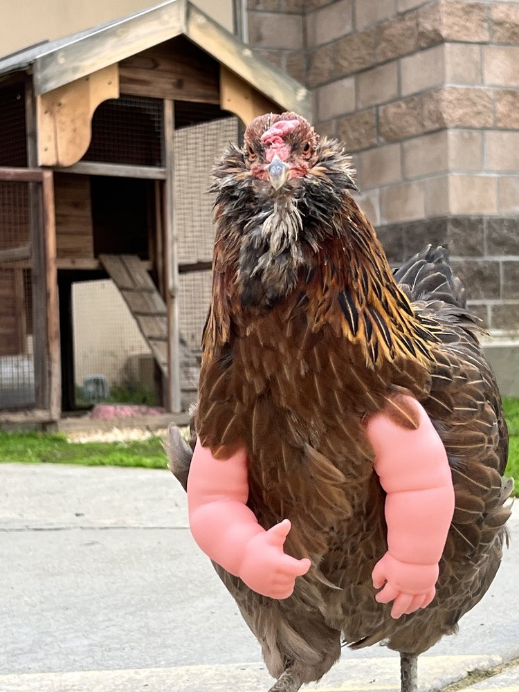 Whittier Feed Store at Linda Godsey blog